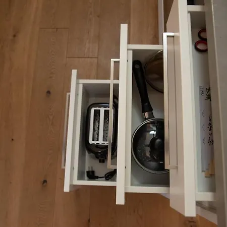 Penthouse Mit Altstadtflair アパート グラーツ