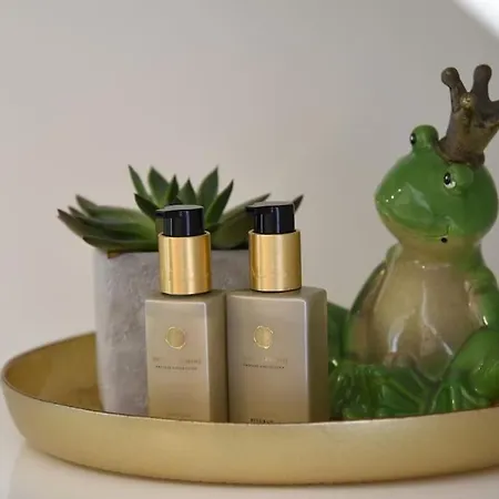 Penthouse Mit Altstadtflair *