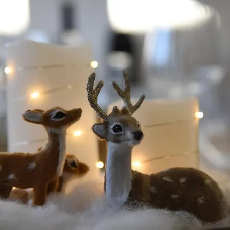 Penthouse Mit Altstadtflair Apartment