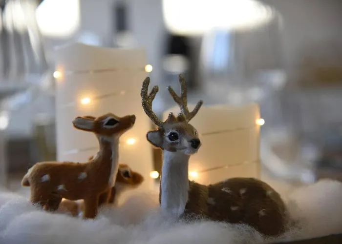 Penthouse Mit Altstadtflair Apartment